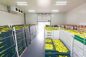 Top Challenges in Oman's Perishable Food Cold Chain
