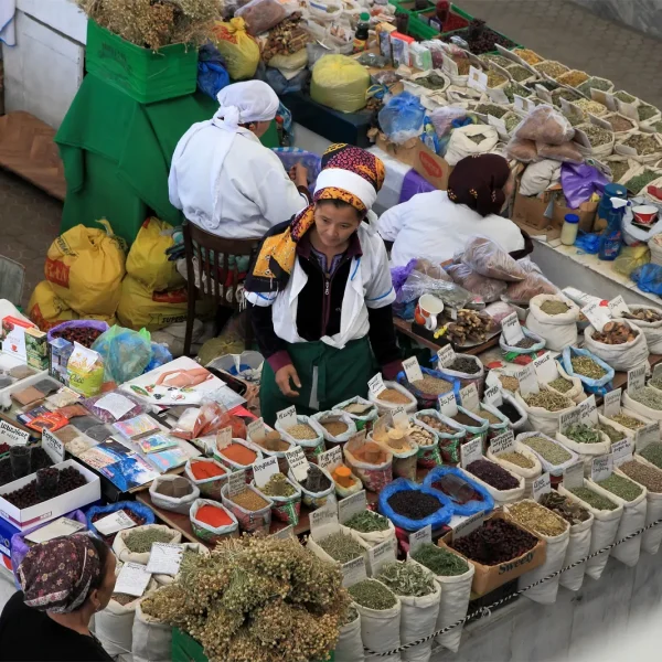 Turkmenistan's Major Import Products
