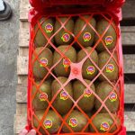 top-grade fresh fruits straight from Iranian orchards