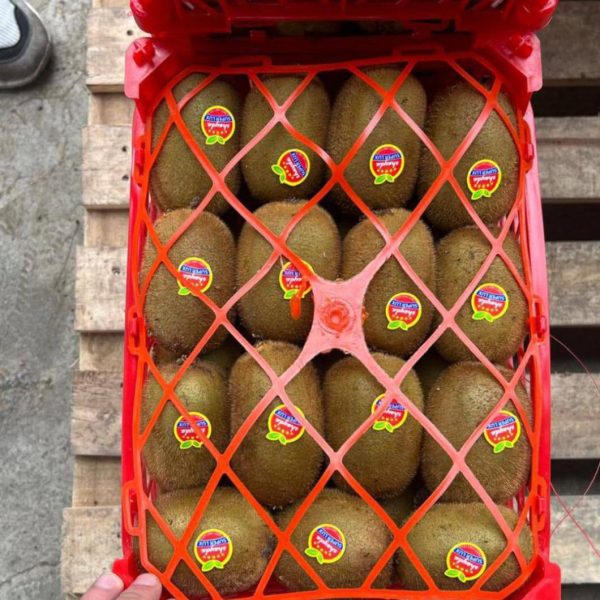 top-grade fresh fruits straight from Iranian orchards