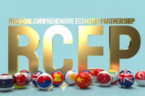 The Structure and Scope of the RCEP Agreement