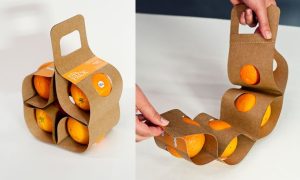 Sustainable Packaging