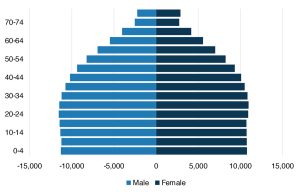 Indonesia’s Demographic