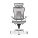 Honey-V2 ergonomic office chair