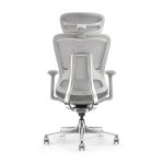 Honey-V2 ergonomic office chair