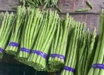IQF frozen green asparagus 2