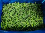 IQF frozen green asparagus 3
