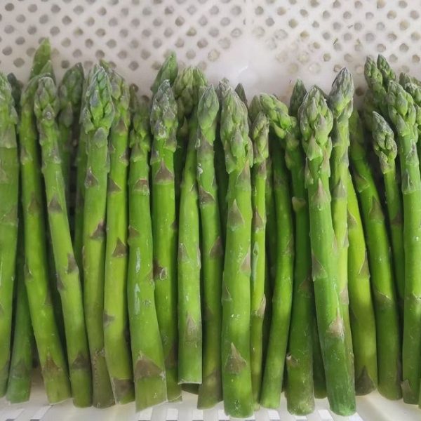 IQF frozen green asparagus