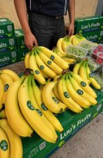 Organic Bananas
