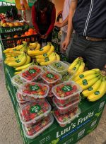 Organic Bananas for export