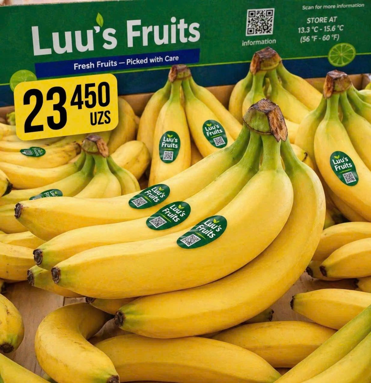 Organic Bananas for export to Korea, Tukey, Russia, Japan