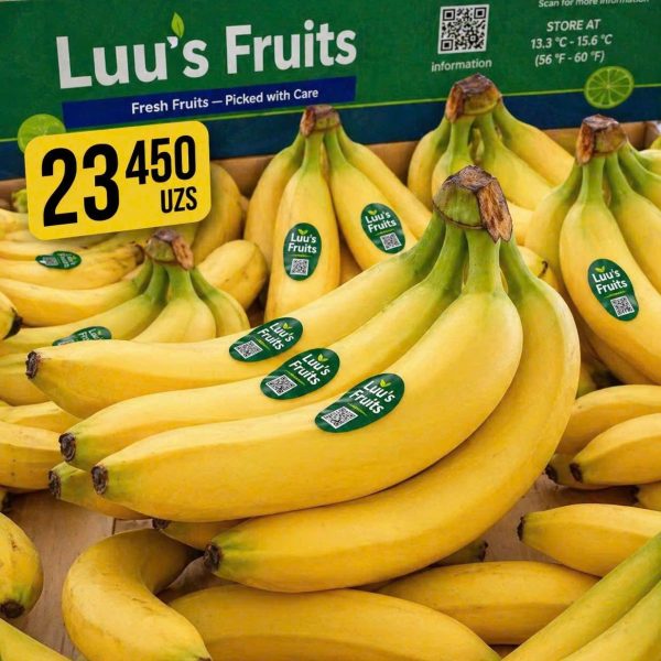 Organic Bananas for export to Korea, Tukey, Russia, Japan