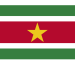 Suriname Trade Guide