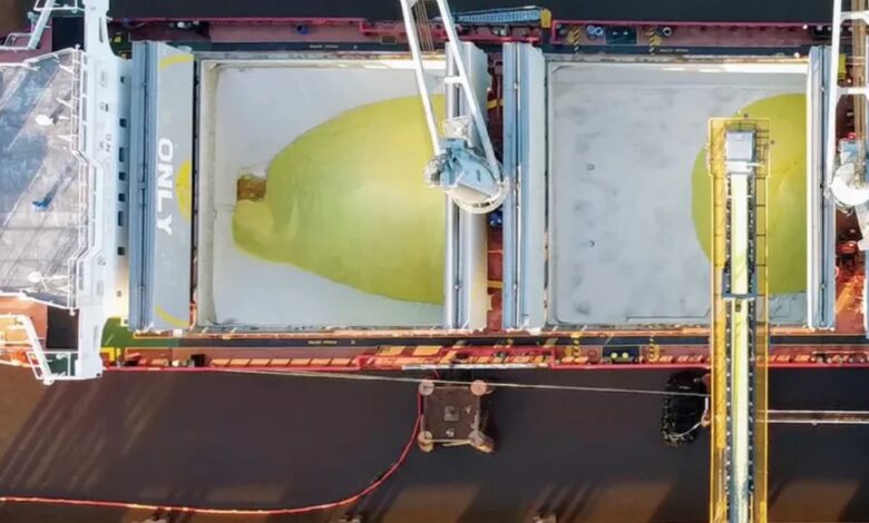 Understanding Sulfur Forms and Quality Standards