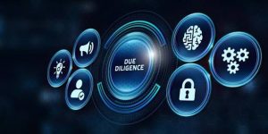 Supplier Due Diligence