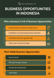 Indonesia market Opportunities