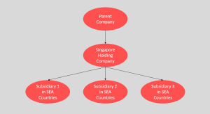 Singapore Holding Company