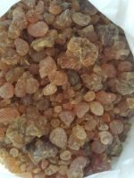 Arabic gum