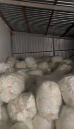 Baby and adult diapers