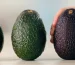Cartel Avocados money laundering