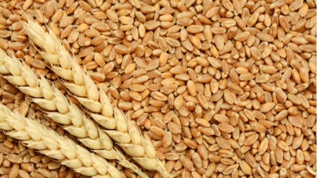 Geopolitical Demand Boost Meets Weather-Driven Supply Constraints
