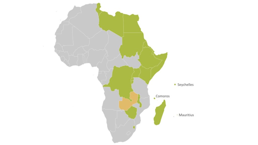 COMESA in the Bigger Picture