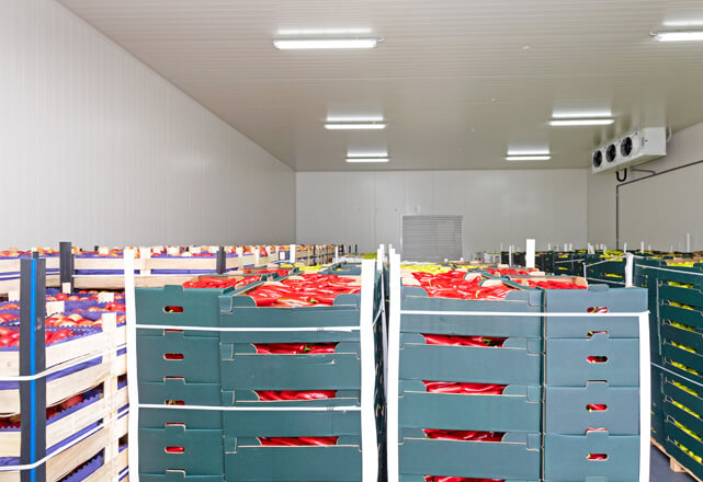 Cold-Chain
