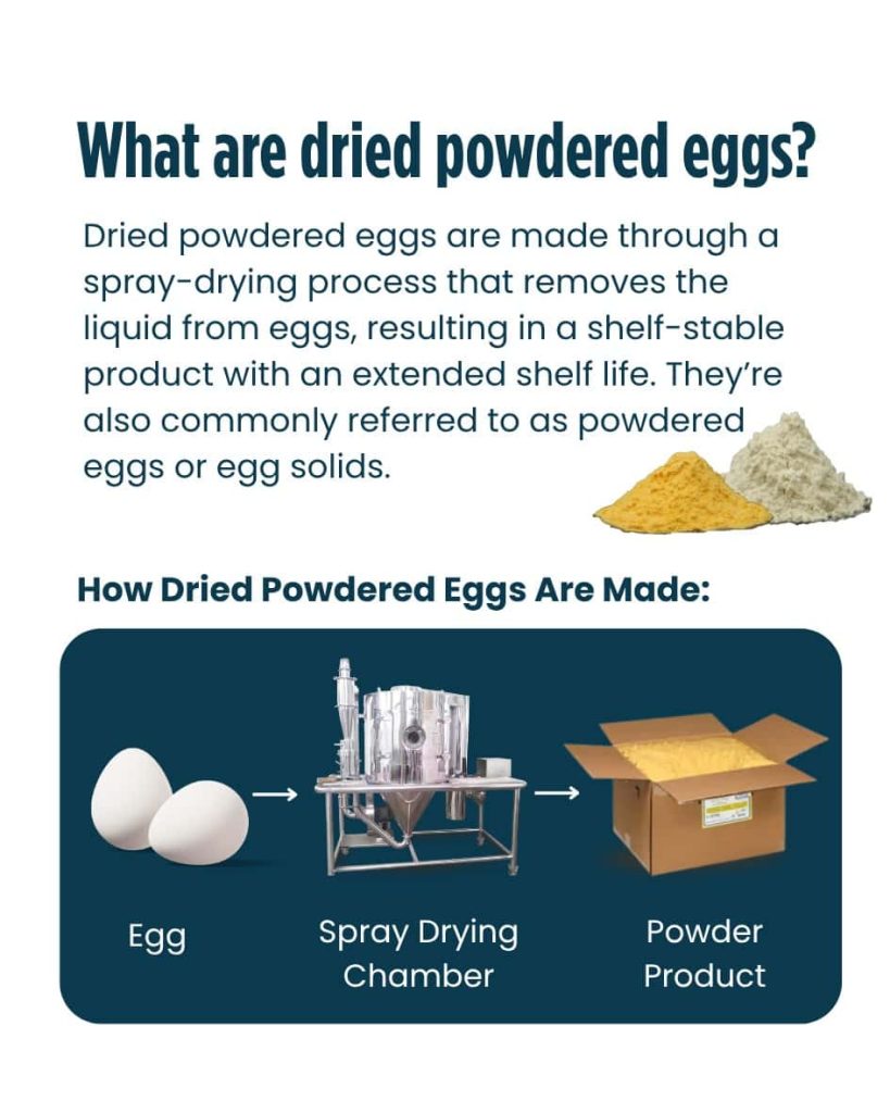 Dried Powder Egg