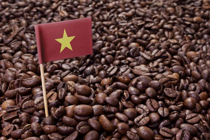 Vietnam Coffee Exports Matter for GCC and MENA Importers