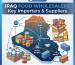 Iraq Food Wholesalers Directory