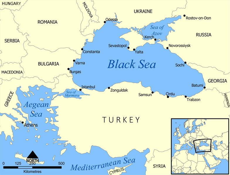 Global Veg-Oil Shock: Why Black Sea Disruptions Could Push Prices Higher Into 2027